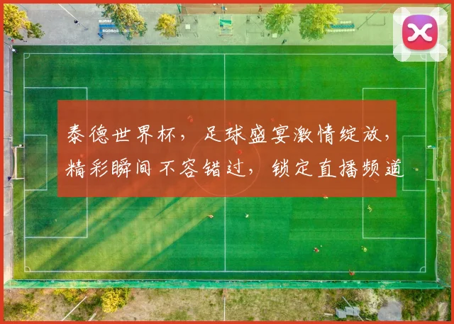 泰德世界杯，足球盛宴激情绽放，精彩瞬间不容错过，锁定直播频道